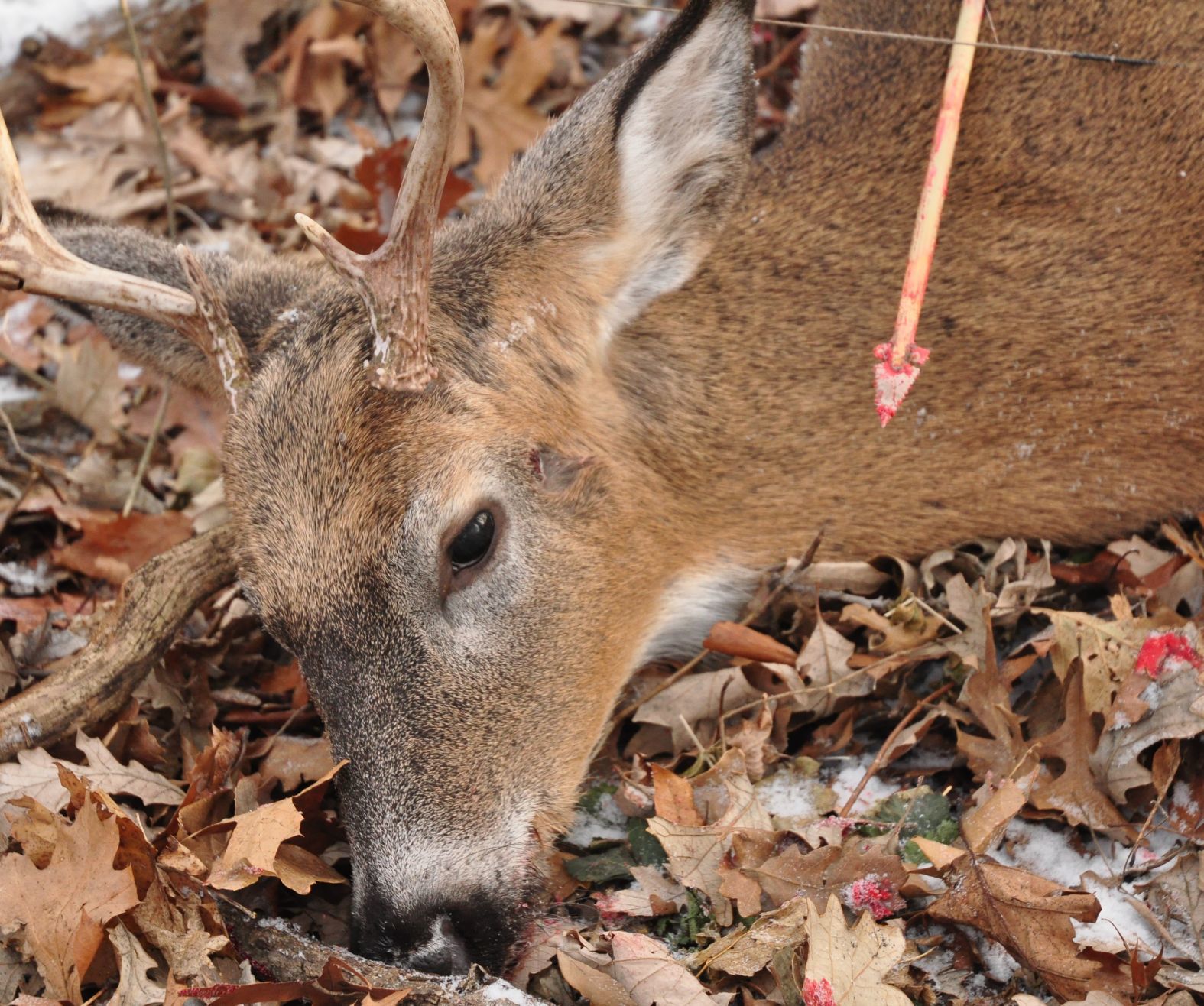 Washburn Outdoors